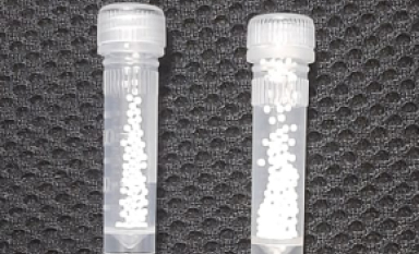 Pre-filled Beaded Vials